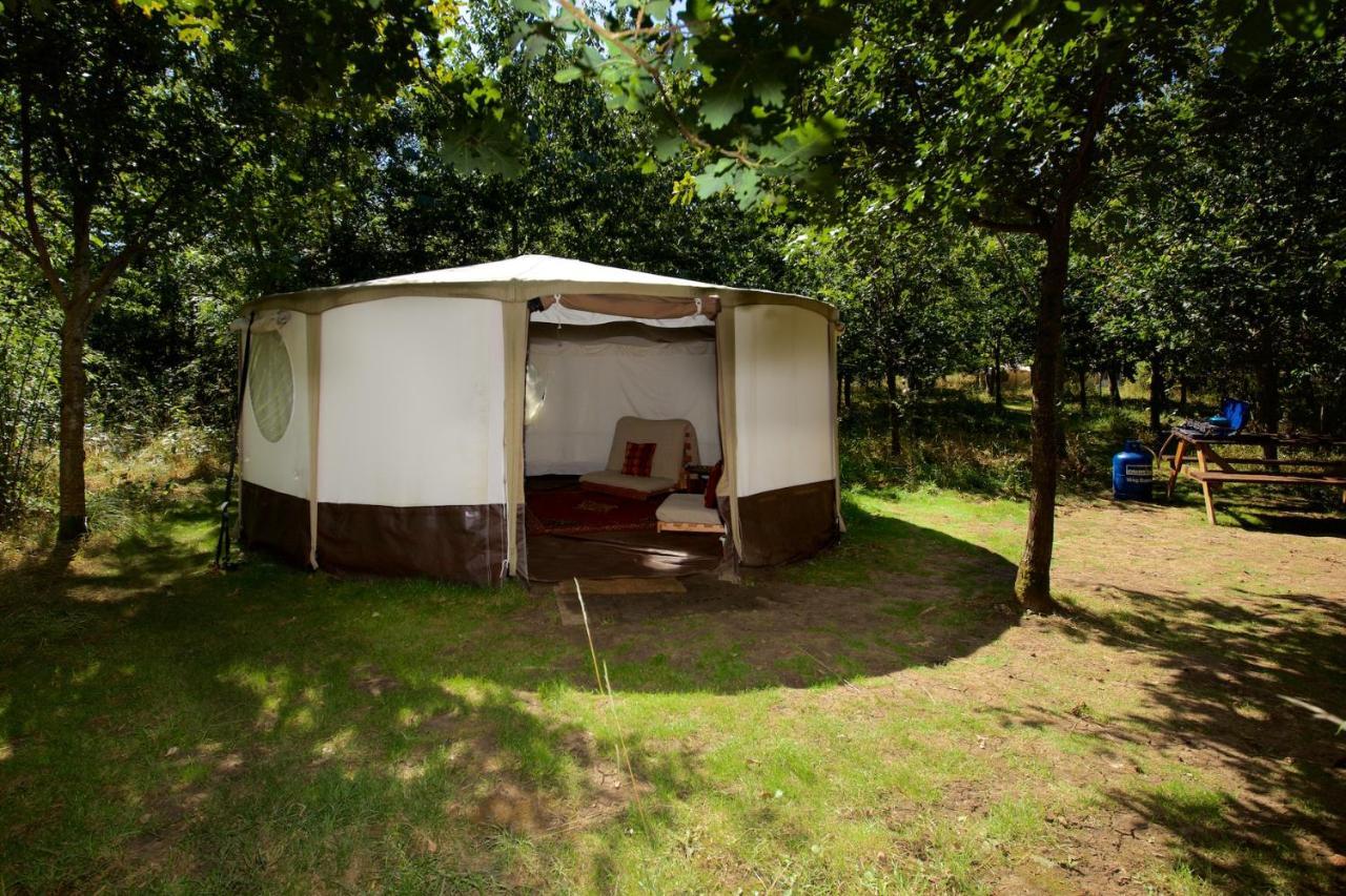 Dgg Woodland Escape Hotel South Barrow Eksteriør billede