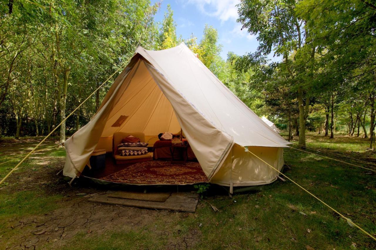 Dgg Woodland Escape Hotel South Barrow Eksteriør billede