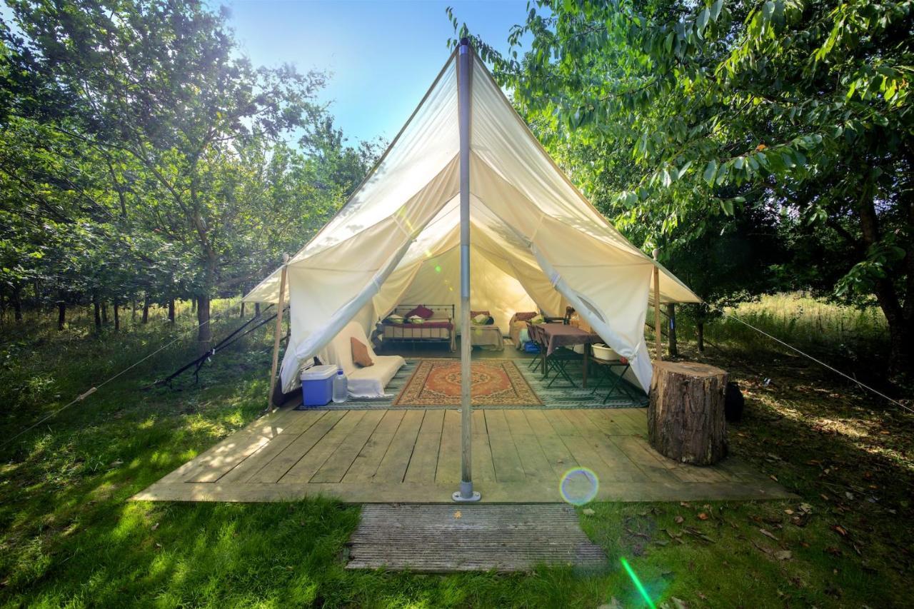 Dgg Woodland Escape Hotel South Barrow Eksteriør billede