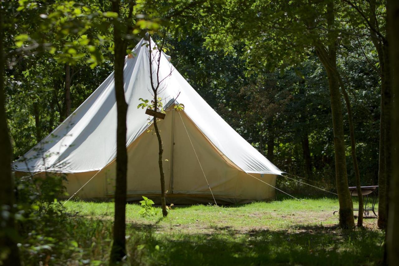 Dgg Woodland Escape Hotel South Barrow Eksteriør billede