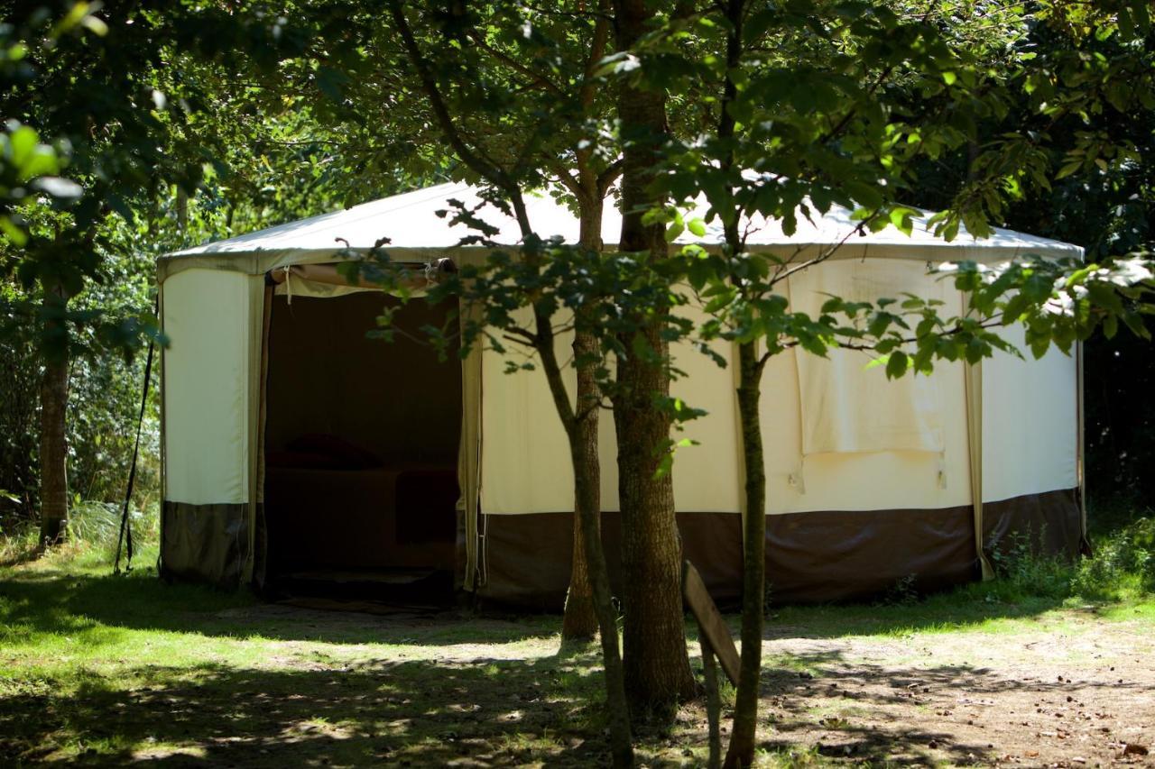 Dgg Woodland Escape Hotel South Barrow Eksteriør billede