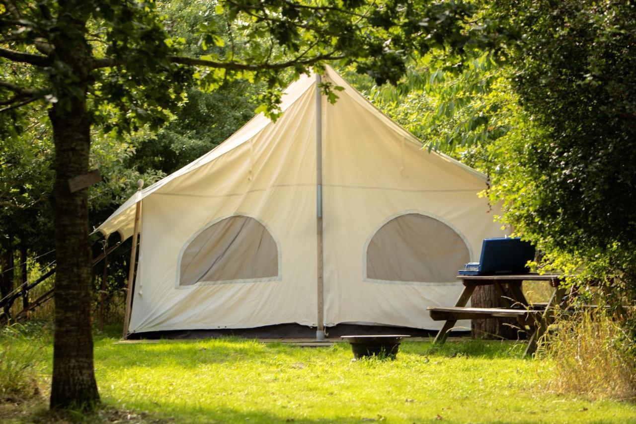 Dgg Woodland Escape Hotel South Barrow Eksteriør billede