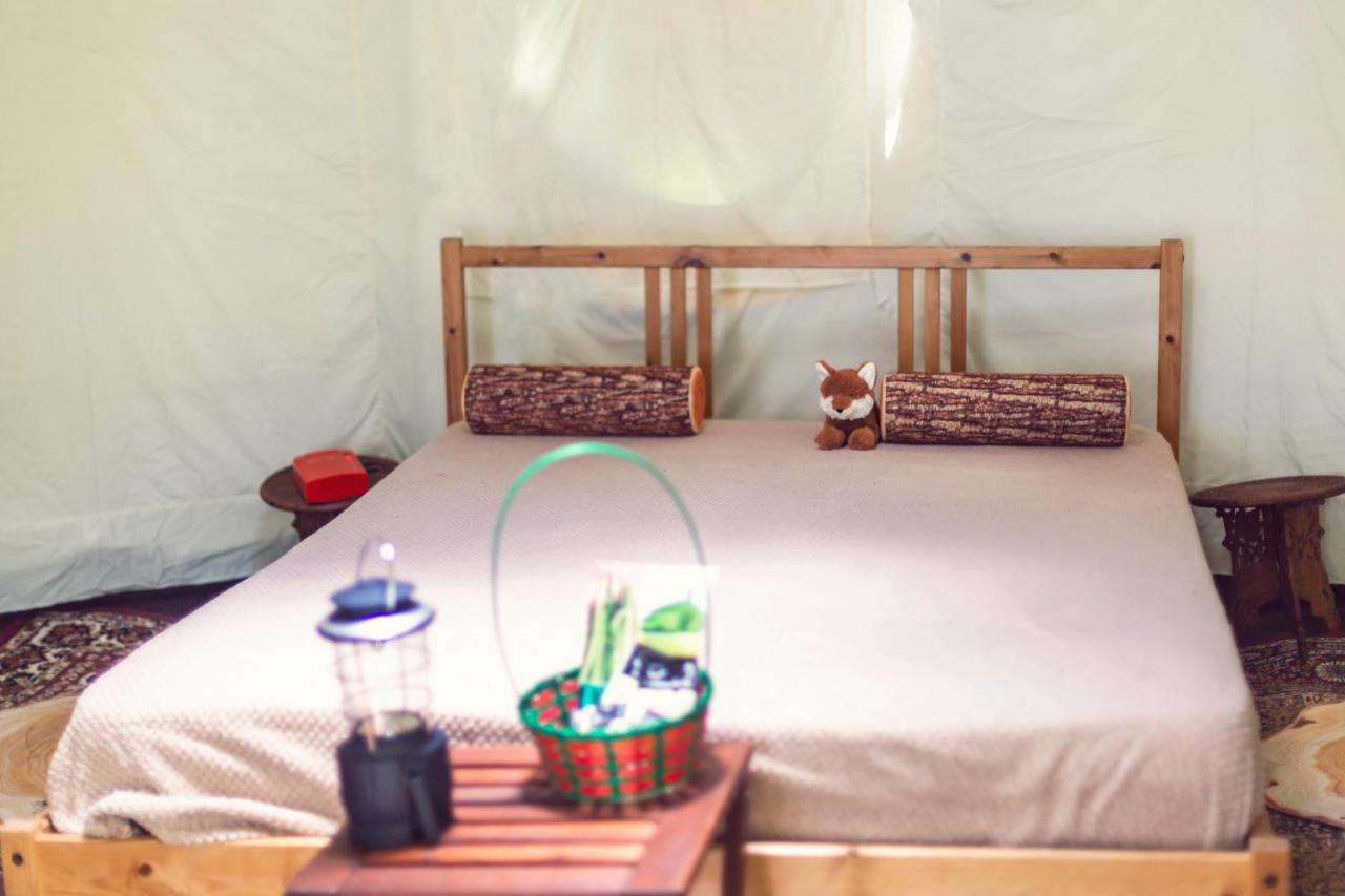 Dgg Woodland Escape Hotel South Barrow Eksteriør billede