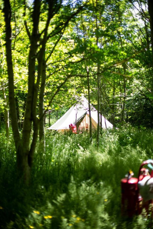 Dgg Woodland Escape Hotel South Barrow Eksteriør billede
