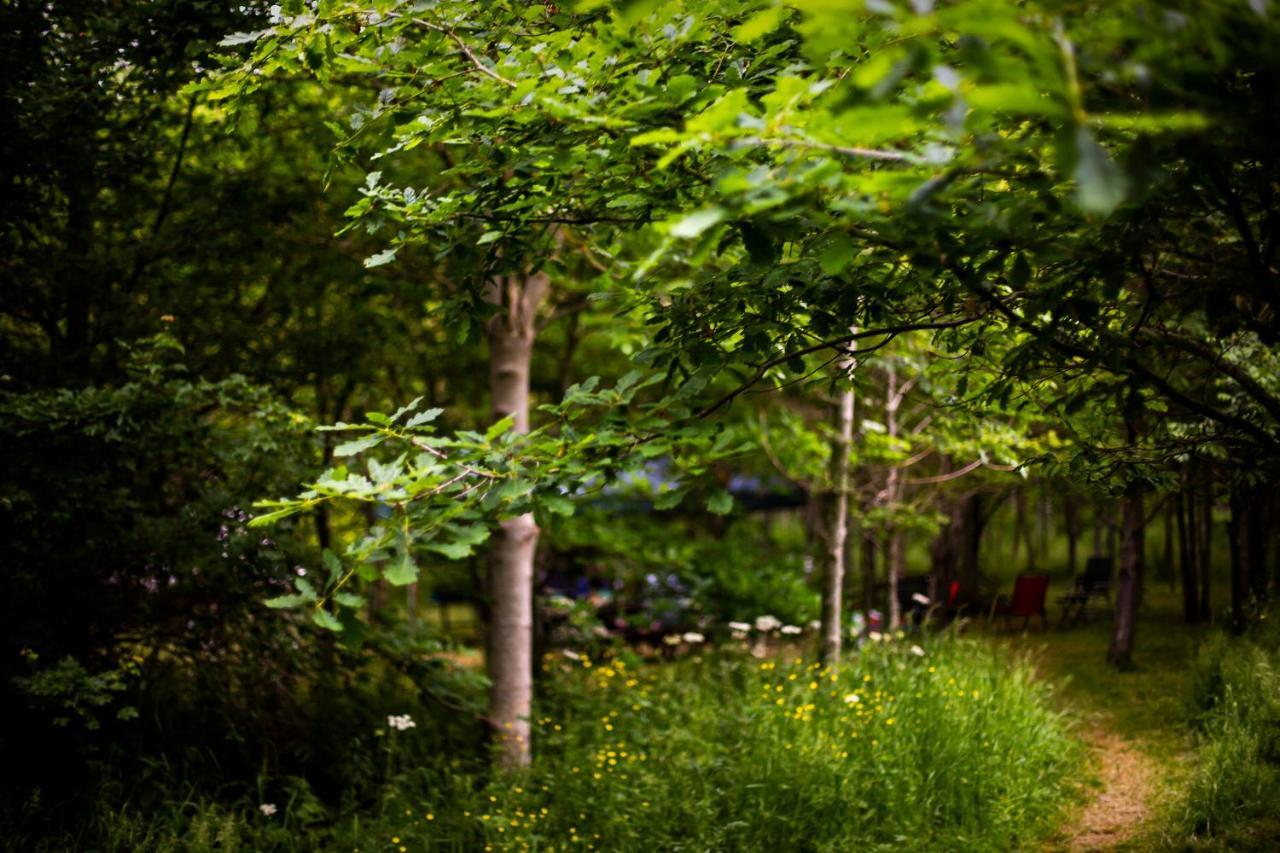 Dgg Woodland Escape Hotel South Barrow Eksteriør billede