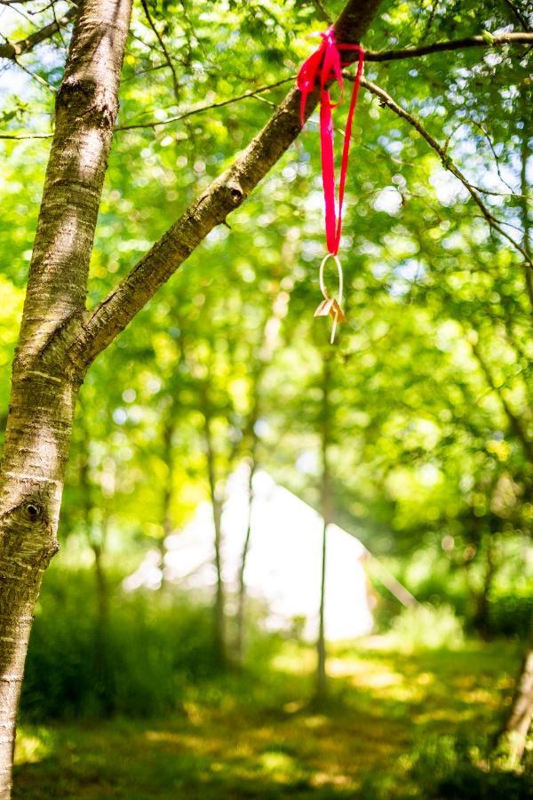Dgg Woodland Escape Hotel South Barrow Eksteriør billede