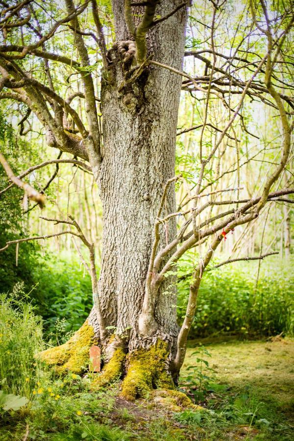 Dgg Woodland Escape Hotel South Barrow Eksteriør billede