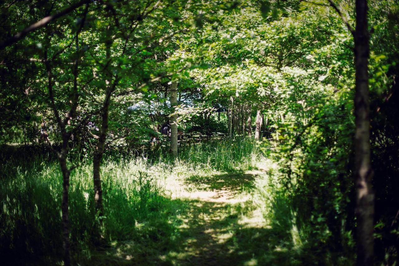 Dgg Woodland Escape Hotel South Barrow Eksteriør billede