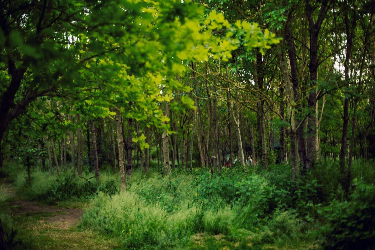 Dgg Woodland Escape Hotel South Barrow Eksteriør billede