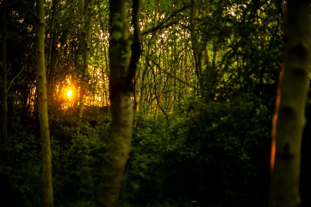 Dgg Woodland Escape Hotel South Barrow Eksteriør billede