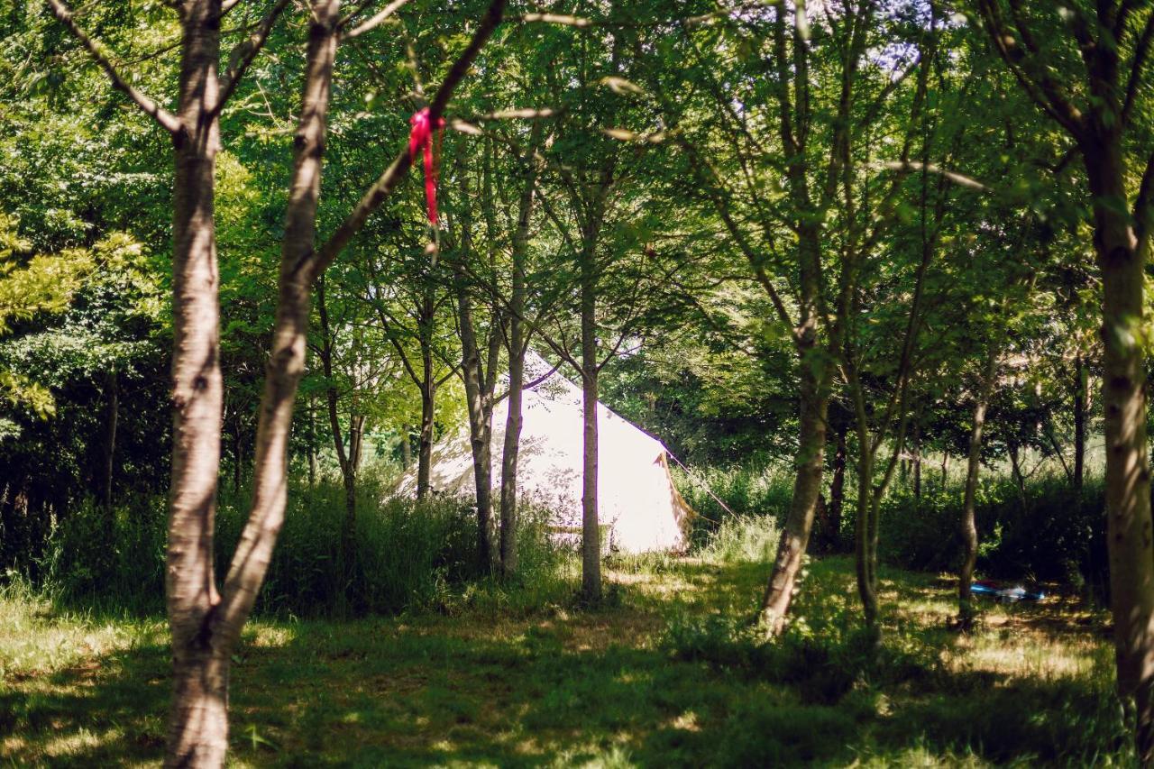 Dgg Woodland Escape Hotel South Barrow Eksteriør billede