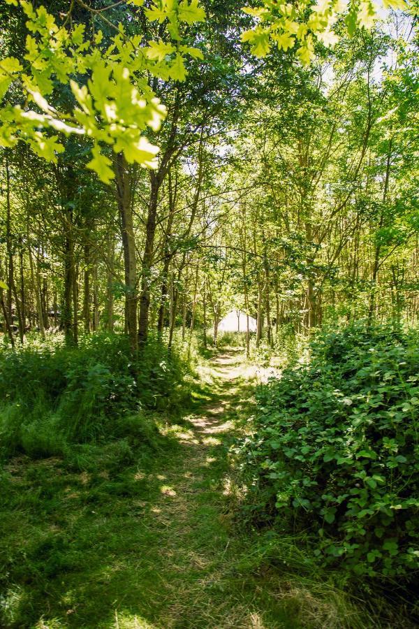 Dgg Woodland Escape Hotel South Barrow Eksteriør billede