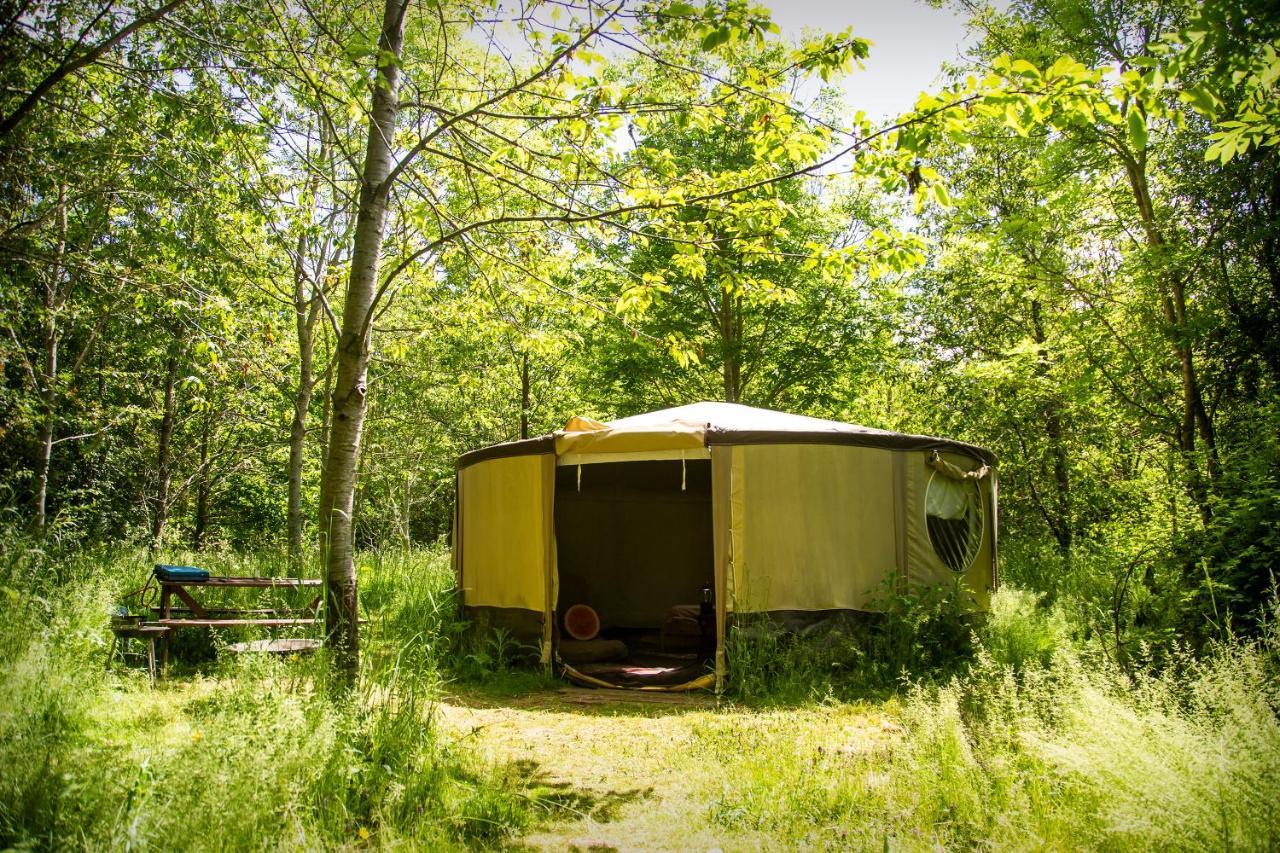 Dgg Woodland Escape Hotel South Barrow Eksteriør billede