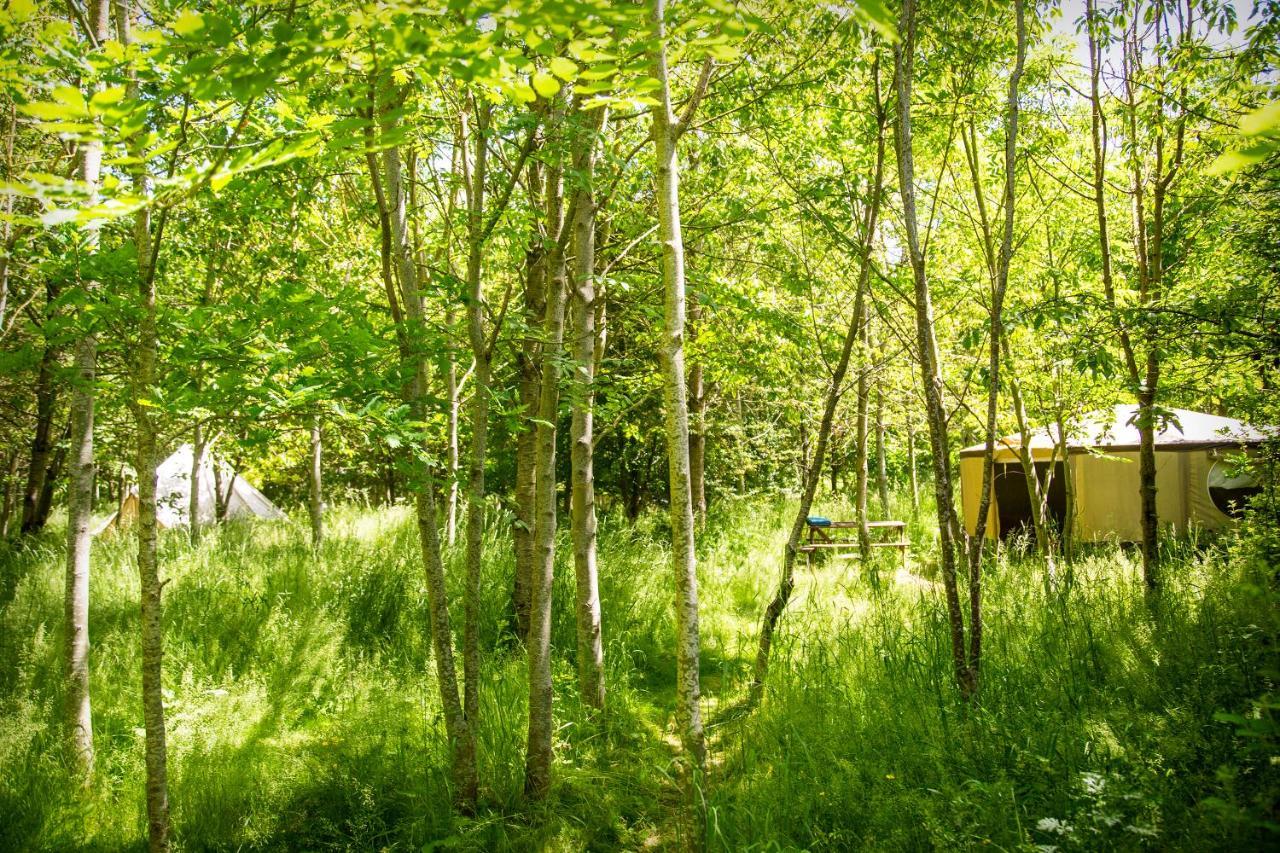 Dgg Woodland Escape Hotel South Barrow Eksteriør billede