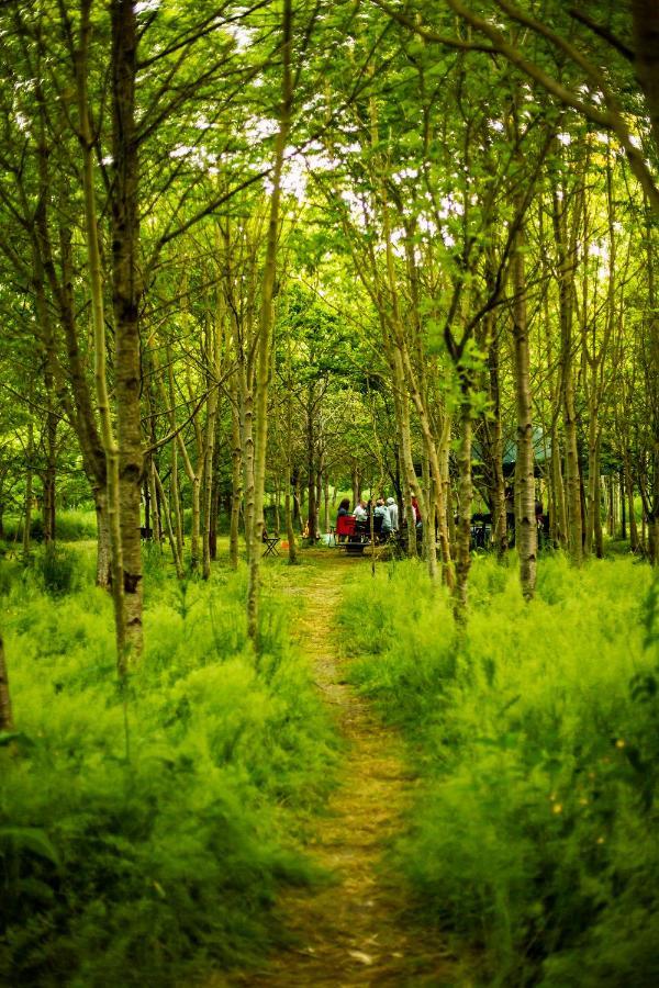 Dgg Woodland Escape Hotel South Barrow Eksteriør billede