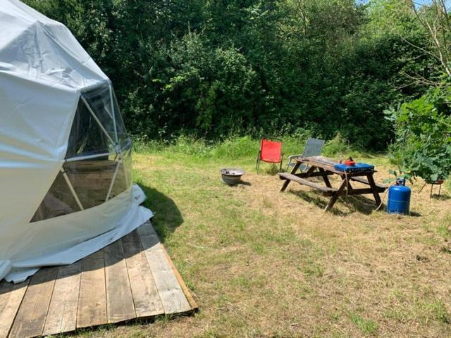Dgg Woodland Escape Hotel South Barrow Eksteriør billede