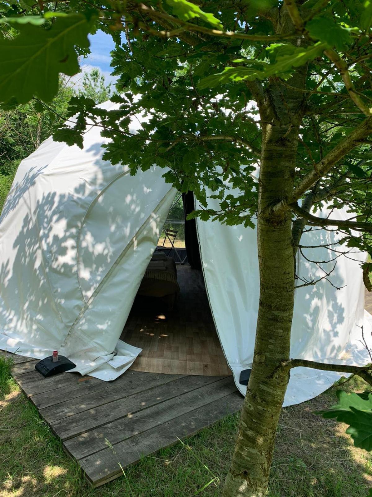 Dgg Woodland Escape Hotel South Barrow Eksteriør billede